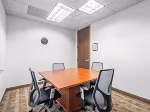 1 Person Virtual Office