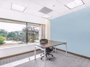 1 Person Private Office