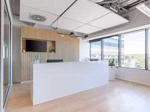 1 Person Virtual Office