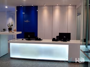 1 Person Virtual Office