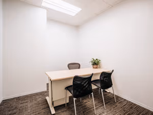 1 Person Virtual Office