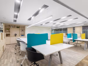 1 Person Virtual Office