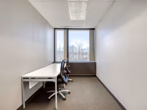 1 Person Virtual Office