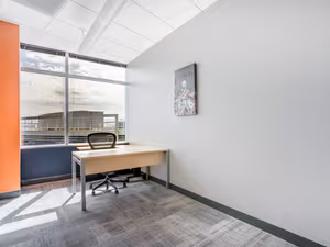 1 Person Virtual Office