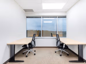 1 Person Virtual Office