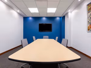 1 Person Virtual Office