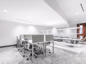 1 Person Virtual Office