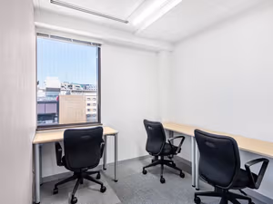 1 Person Virtual Office