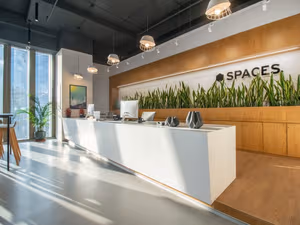 1 Person Virtual Office