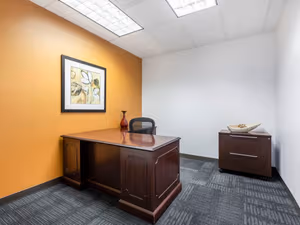 1 Person Virtual Office