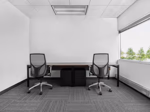 1 Person Virtual Office