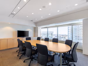 1 Person Virtual Office