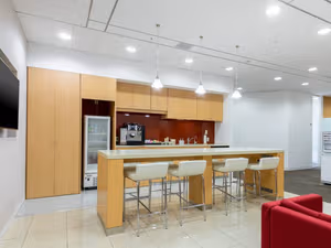 1 Person Virtual Office