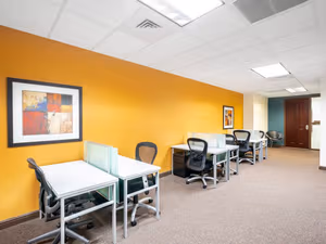 1 Person Virtual Office