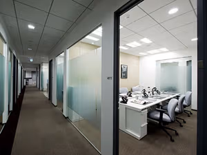 1 Person Virtual Office