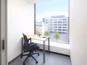 1 Person Virtual Office