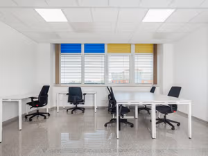 1 Person Virtual Office