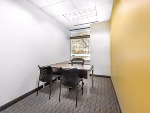 1 Person Virtual Office