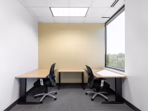 1 Person Virtual Office