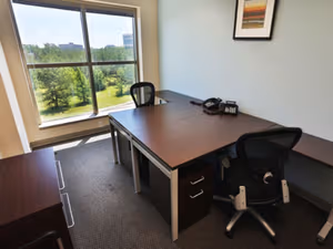 1 Person Virtual Office