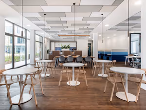 1 Person Virtual Office