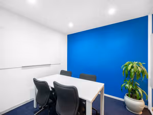 1 Person Virtual Office