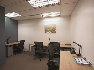 1 Person Virtual Office