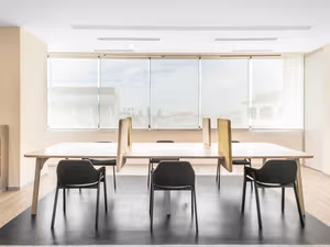 1 Person Virtual Office