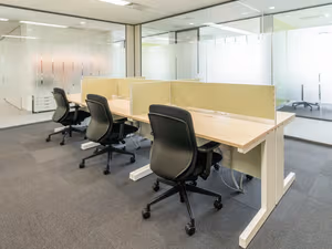 1 Person Virtual Office