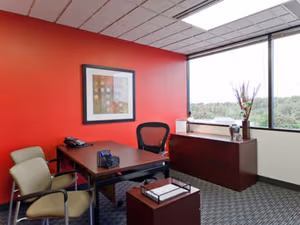 1 Person Virtual Office