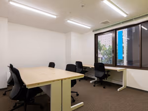 1 Person Virtual Office