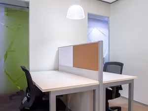 1 Person Virtual Office