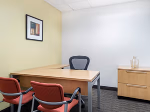 1 Person Virtual Office