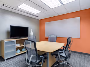 1 Person Virtual Office