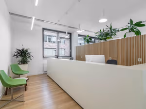 1 Person Virtual Office