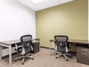 1 Person Virtual Office