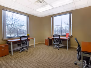 1 Person Virtual Office