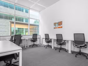 1 Person Virtual Office