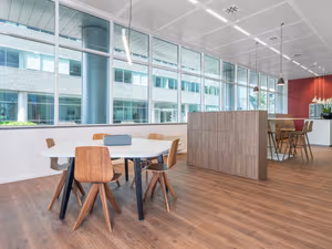 1 Person Virtual Office