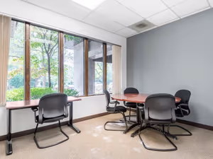 1 Person Virtual Office