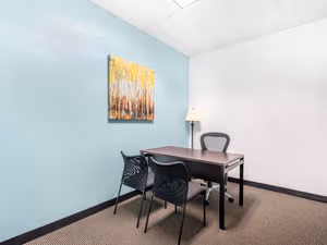 1 Person Virtual Office