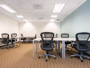 1 Person Virtual Office