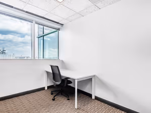 1 Person Virtual Office