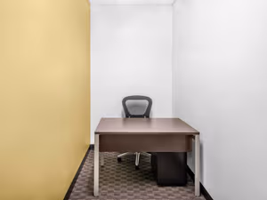 1 Person Virtual Office