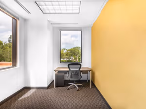1 Person Virtual Office