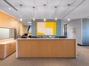 1 Person Virtual Office