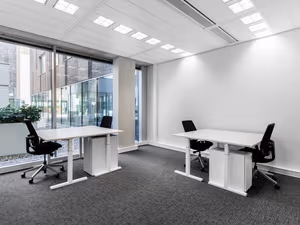 1 Person Virtual Office