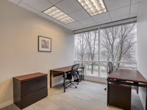 1 Person Virtual Office