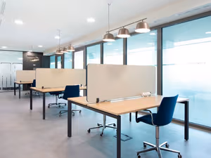 1 Person Virtual Office