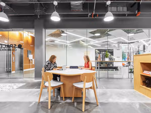 1 Person Virtual Office